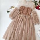 Mock Two-piece Long-sleeve Midi A-line Mesh Overlay Dress