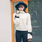 Contrast Trim High-neck Bell-sleeve Sweater