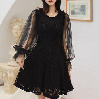 Mesh Panel Long-sleeve Lace-overlay A-line Dress