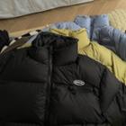 Stand Collar Padding Down Jacket