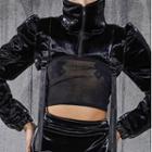 Plain Padded Long-sleeve Crop Top