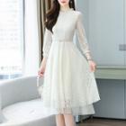 Ruffle Lace Long-sleeve A-line Dress