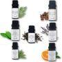 Aster Aroma - Organic Essential Oil 10ml - 7 Types