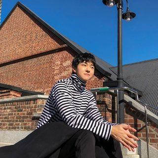 Turtle-neck Loose-fit Striped Top