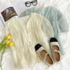 Puff-sleeve V-neck Plain Mesh Shirt