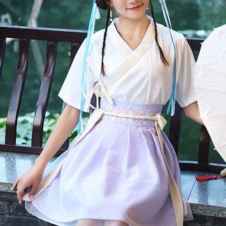 Set: Embroidered Short Sleeve Top + Mesh Skirt