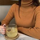 High-neck Long-sleeve Ribbed Shaping Knit Top Tangerine Brown - One Size