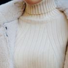 Turtle-neck Ribbed Slim-fit Knit Top
