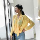 Tie-neck Shirred Sheer Blouse
