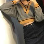 V-neck Long-sleeve Knitted Crop Top Gray - One Size