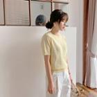 Short-sleeve Punched Knit Top