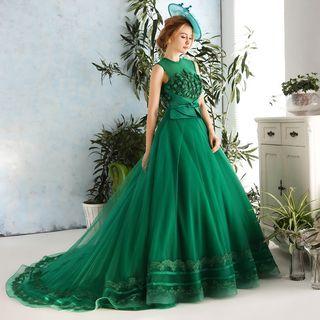 Mesh Panel Applique Ball Gown