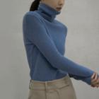 Turtle-neck Woolen Knit Top