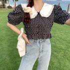 Polka Dot Collared Cropped Top Black - One Size