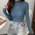 Semi Turtleneck Plain Slim Fit Sweater