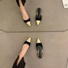 Pointed Two Tone Sandals