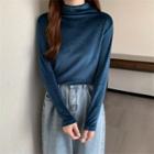 Semi High-neck Velvet Plain Long-sleeve Top