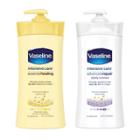 Vaseline - Intensive Care Lotion 600ml - 2 Types