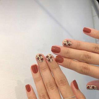 Leopard Print Faux Nail Tips 5 - Caramel - Blue - One Size
