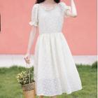 Balloon-sleeve Floral Embroidered Lace Dress