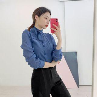 Scarf-neck Sheer Blouse
