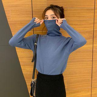Turtleneck Long-sleeve Knit Top / Striped Sweater