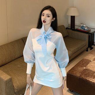 Ribbon Mesh Panel Long-sleeve Mini Sheath Dress