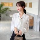 Long-sleeve Tie-neck Dotted Chiffon Blouse