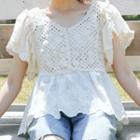 Crochet Panel Eyelet Short-sleeve Blouse