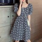 Puff-sleeve Embroidered Dress