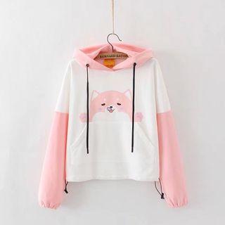 Dog Print Color-block Long-sleeve Sweater