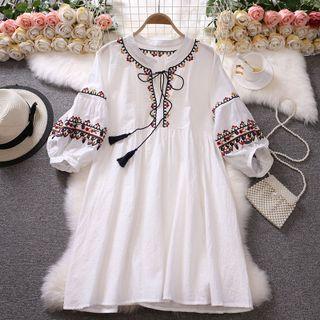 Balloon-sleeve Embroidered Mini A-line Dress