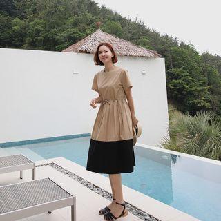 Drawcord Two-tone Pleat Dress