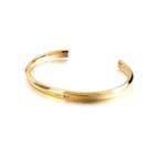 Fashion And Simple Plated Gold Geometric 316l Stainless Steel Bangle With Cubic Zirconia Golden - One Size