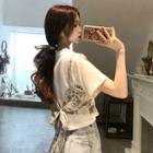 Short-sleeve Plain T-shirt / Paisley Print Cropped Camisole Top