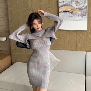 Applique Cropped Sweater / Spaghetti Strap Mini Sheath Dress