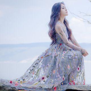 Long-sleeve Floral Embroidered A-line Midi Dress