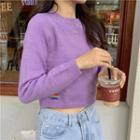 Crewneck Cropped Knitted Top