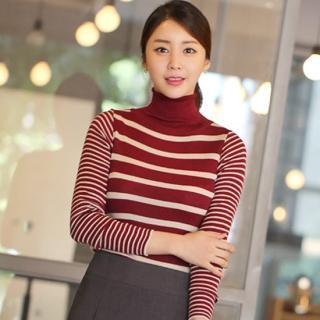 Turtle-neck Striped Knit Top