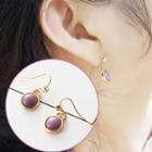 Jewelry Hook Earrings