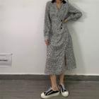 Long-sleeve Zebra Print Midi A-line Dress