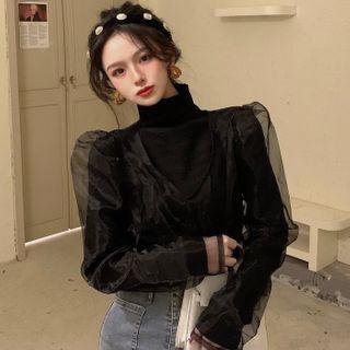 Long-sleeve Mesh Top / Long-sleeve Turtleneck T-shirt