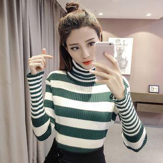 Turtleneck Stripe Long-sleeve Knit Sweater