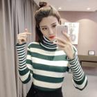 Turtleneck Stripe Long-sleeve Knit Sweater