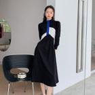 Long-sleeve Mock-neck Color Block Midi A-line Dress