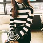 Turtleneck Striped Knit Top Stripes - Black & White - One Size