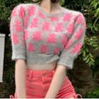 Short-sleeve Knit Top Red & Gray - One Size