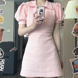 Short-sleeve Collar Embroidered Mini A-line Dress