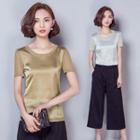 Short-sleeve Plain Mesh Top
