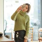 Turtle-neck Cable-knit Thick Sweater